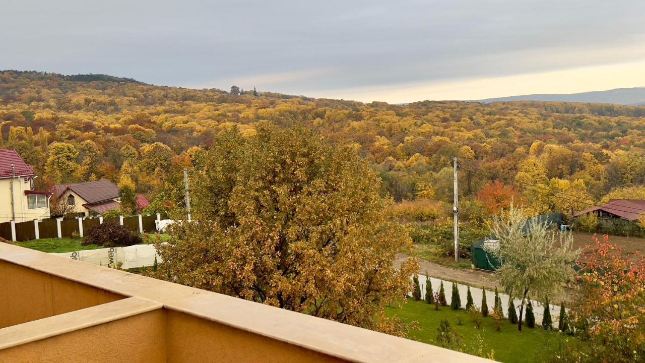 La Pini - Apartament Luxury Bucium Apartment Iasi Exterior foto